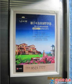 新城區電梯廣告與小區主入口燈箱廣告招商公告